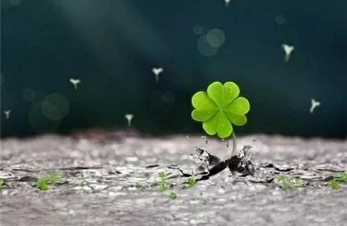 所有的情绪都是宝贝,没有好坏,对错,正负之分-松果倾诉语音聊天